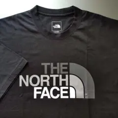 ザノースフェイスカラフルロゴT【新品未使用タグ】2枚目画像参照