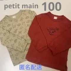petit main プティマイン 長袖Tシャツセット 恐竜100