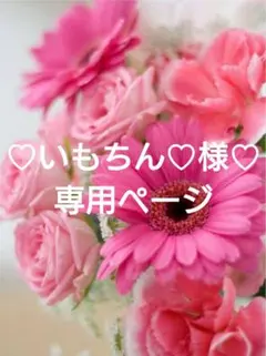 ♡いもちん♡おまとめ割り有ります♫♪様 リクエスト 3点 まとめ商品