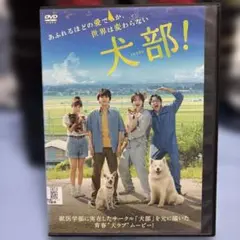 犬部！ DVD レンタル落ち商品