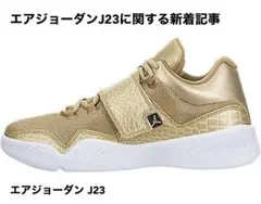 JORDAN ジョーダン J23 ゴールド　金　26センチ　レア