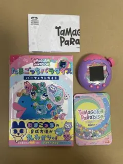 Item thumbnail for item 85add6ab-16d1-4a71-8228-538e934f72f6