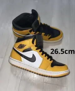 Nike Air Jordan 1 taxi タクシー　26.5cm