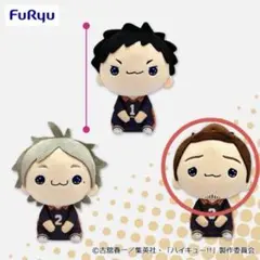 ハイキュー もちぴこ