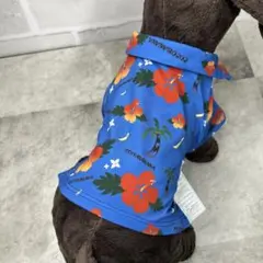 ペット服 犬の服 小型犬 パピー用 アロハシャツ 2号
