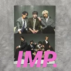 IMP. 切り抜き 雑誌 STAGEnavi