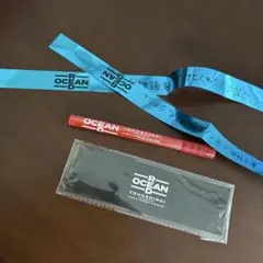 東方神起 2026 RED OCEAN 日産スタジアム 銀テープ 2本 - メルカリ