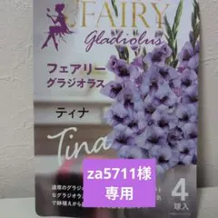 za5711様 リクエスト 2点 まとめ商品
