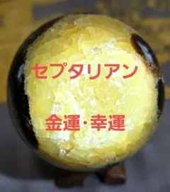 ★セプタリアン★