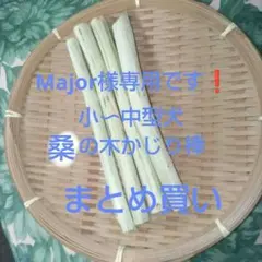Major様 リクエスト 3点 まとめ商品