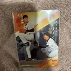 BBM 2025 Fusion 始球式　バッテリィズ