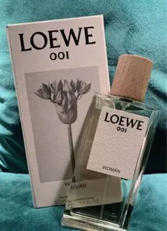 【新品未使用】LOEWE 001 ウーマン ギフトバック付 国内発送ロエベ 2024人気商品 カメラバッグ ポシェット