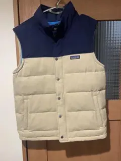 patagonia ベスト
