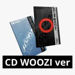 2　SEVENTEEN BEAM ホシ ウジ アルバム