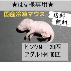 2025年最新】冷凍マウスの人気アイテム - メルカリ