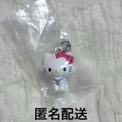 サンリオキャラクターズオールスターズめじるし アクセサリーチャーミー