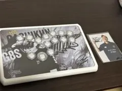 PWS R14 Gachikun Model