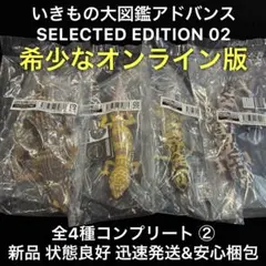 オンライン版 いきもの大図鑑アドバンス シークレットエディション02 全4種 ②