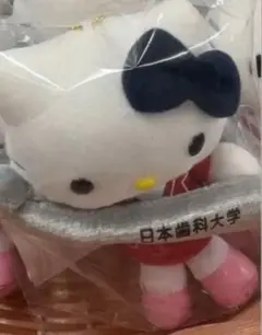 値下げ可　新品 ハローキティ 日本歯科大学 ぬいぐるみ