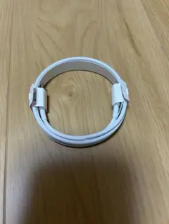 Airpods pro エアーポッズプロ 純正USB-C ライトニング