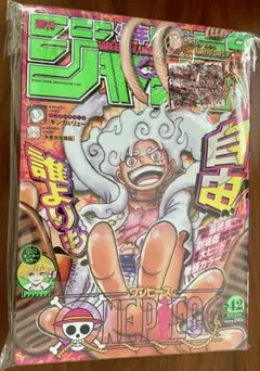 完品】週刊少年ジャンプ 2022年 42号ONE PIECE ニカ 付録付き - メルカリ