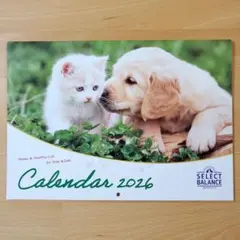 匿名配送：2026年 壁掛けカレンダー セレクトバランス dogs&cats