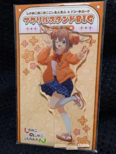 2026年最新】しかのこのこのここしたんたん アクスタの人気アイテム