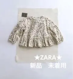 ZARA TIMILESZ 花柄シャツ 長袖