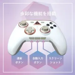 ホワイト ゴールド コントローラー