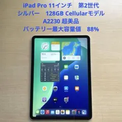 超美品 Apple iPad Pro 11 2世代 256GB cellular ipad-pro-finish-select-202405-
