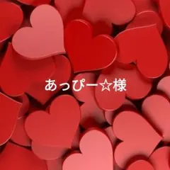 あっぴー☆様