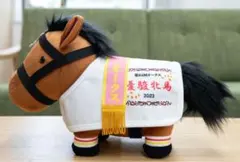 サラブレッドコレクション　馬服コスチュームぬいぐるみ　リバティアイランド　②