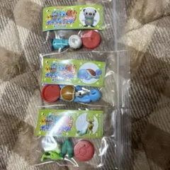 チョコエッグ　ポケモン　旅立ちの3匹 ミジュマル＆ゼニガメ＆キモリ