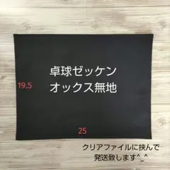 Item thumbnail for item 0471bfc2-19c7-44eb-bcfe-a389447cab88