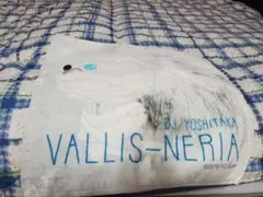 Item thumbnail for item cd9672d1-1731-4dde-9d6b-8180672d2532