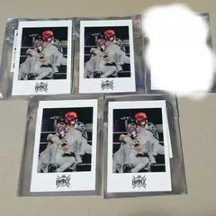 KnightX　ペア　フォトカ　ばぁう　タケヤキ翔