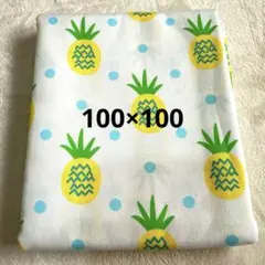 カーリーコレクション生地④