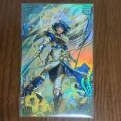 ロードス島戦記 ブックカバー ディードリット パーン - メルカリ