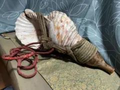 2026年最新】ホラガイの人気アイテム - メルカリ