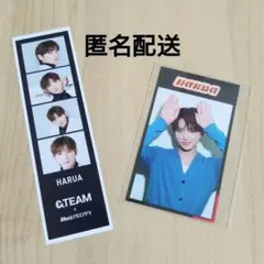 &TEAM HARUA ハルア CanCam ムック ビジュカード ブックマーク