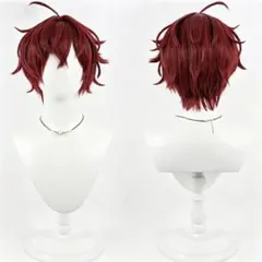 刀剣乱舞 刀剣男士 三郎国宗 さぶろうくにむね ウィッグ コスプレ衣装