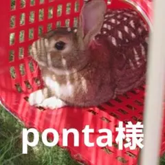 ◆◆ponta様専用◆◆