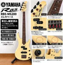 k*e様 Bacchus GS-2DX RSM/BLK ステンレスフレット SS - メルカリ