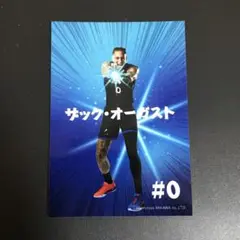 Bリーグ シーホース三河 ザック・オーガスト 戦隊ポーズ 生写真 写真