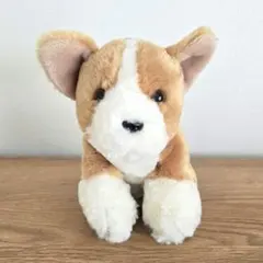 ☆未使用☆　BESTEVER ベストエバー　コーギー　ぬいぐるみ