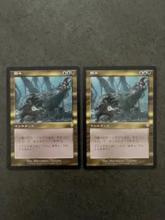 MTG マジック ザ ギャザリング 蝕み 日本語 2枚セット 非foil