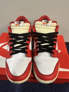 NIKE Dunk Low ナイキ　ダンク