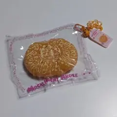 MochimochiAkuse もちアク フルーツシリーズ 海外 スクイーズ