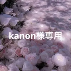 Kanon様 リクエスト 2点 まとめ商品