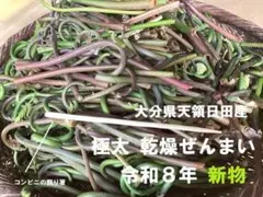 限定☆ 超極太乾燥ゼンマイ(天日干し、手もみ乾燥) 大分県日田産 500g 